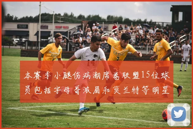 本赛季小腿伤病潮席卷联盟15位球员包括字母哥浓眉和莫兰特等明星球员