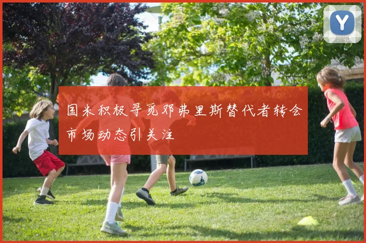 国米积极寻觅邓弗里斯替代者转会市场动态引关注