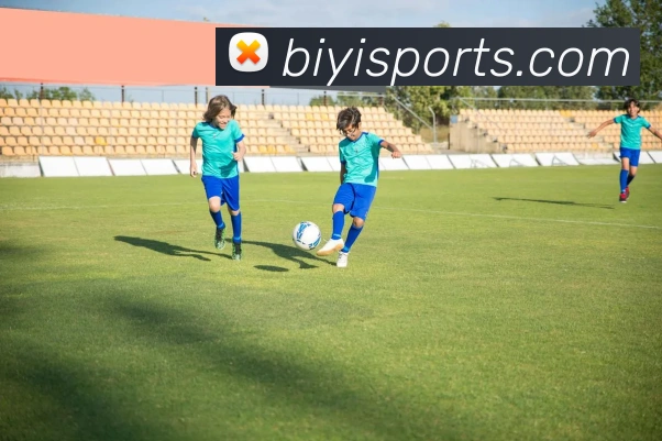 App Interface Preview